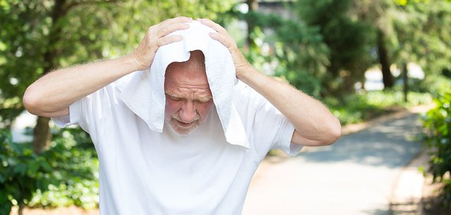 Heat Stress in the Elderly